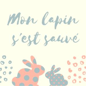 "Mon lapin s'est sauvé " poésie , comptine qui peut être chantée et mimée. Une poésie à imprimer, à colorier. La poésie permet aux enfants d'enrichir leur vocabulaire,