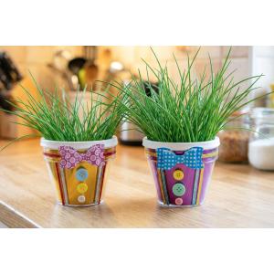 Pot de fleurs chemise et ciboulette