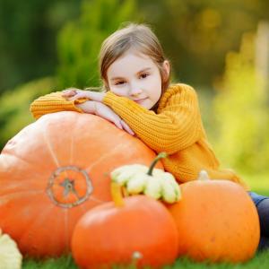 Les curcubitacées sont des délicieux légumes délicat qu'on adore cuisiner en automne. Connaissez-vous la différence entre une citrouille, un potiron et un potimarron ? Taille, couleur, saveur, ne vous