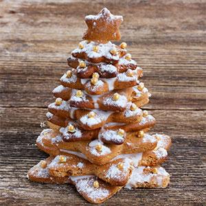 Toutes nos idées de recettes pour la cuisine de Noël et notamment des idées pour un dessert de Noël réussi.