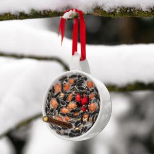 Une mangeoire à oiseaux naturelle dans une tasse