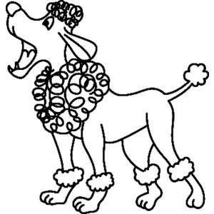 coloriage caniche royal
