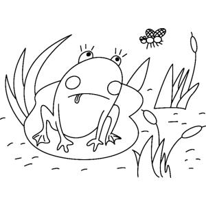 Grenouille 01 - Motif à décorer