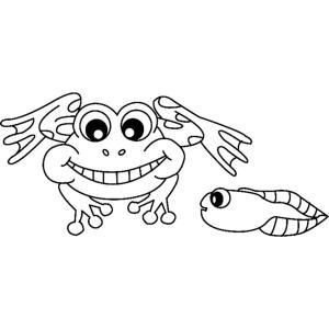 Grenouille 04 - Motif à décorer