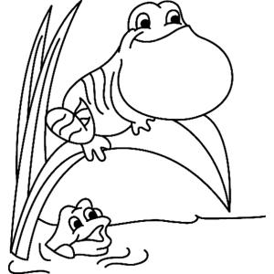 Grenouille 05 - Motif à décorer