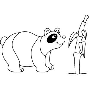 Panda 02 - Motif à décorer