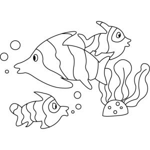 Poisson 08 - Motif à décorer