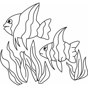 Poisson 12 - Motif à décorer