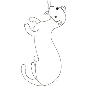 coloriage d'une belette