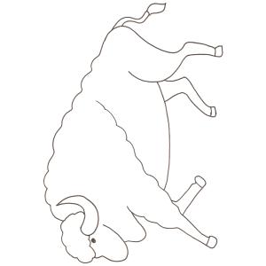coloriage d'un bison