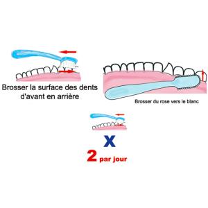 Les étapes du brossage