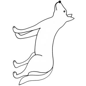 coloriage d'un chacal