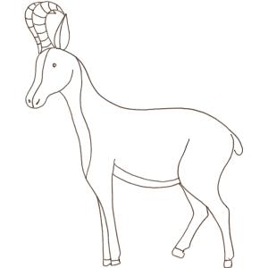 coloriage d'un chamois