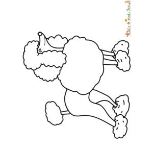 Coloriage d'un grand caniche