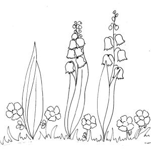 Coloriages sur le thème du muguet du 1er mai.Imprimer le coloriage de branches de muguet