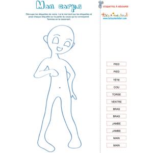 Mon corps, activité 3 sur le corps