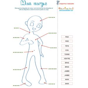 Mon corps, vocabulaire du corps