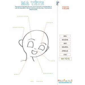 Ma tête, vocabulaire de la tête
