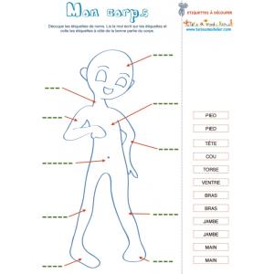 Une Activité de vocabulaire du corps