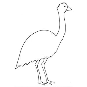 coloriage d'un émeu
