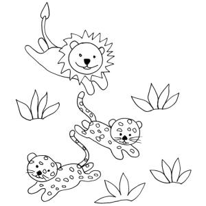 coloriage de petits félins
