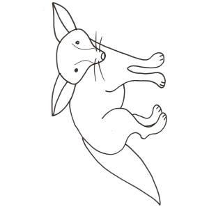 coloriage d'un fennec