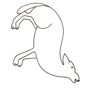 coloriage d'un loup