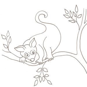 coloriage d'un opossum dans les arbres