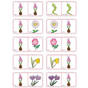 Planche 13 des Dominos sur les fleurs de printemps et d'été