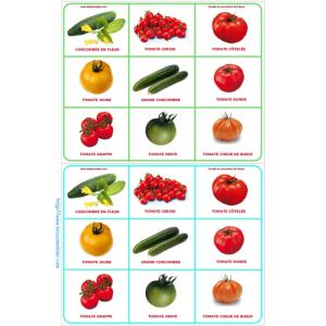 Planche 1 loto tomate
