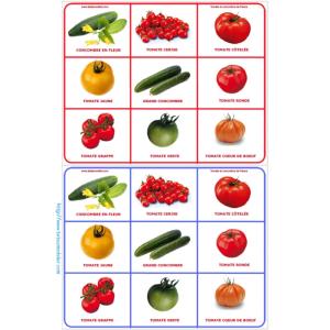 Planche 2 loto tomate