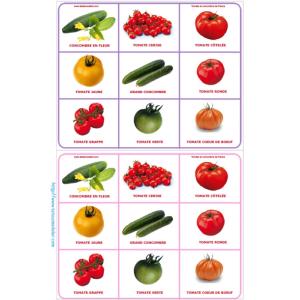 Planche 3 loto tomate