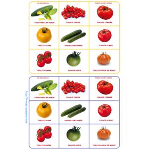 Loto tomate - Planche 4