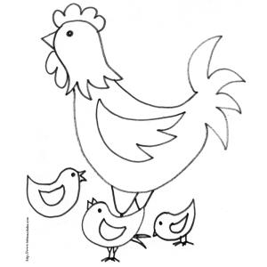 la poule entourée des poussins 