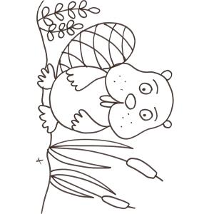 coloriage du raton dans les roseaux