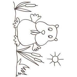 coloriage du raton bras en l'air