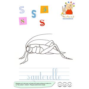 S de sauterelle imagier des lettres minuscules