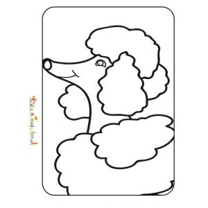 Coloriage tête de caniche