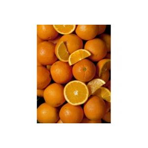 Vitamines et grossesse