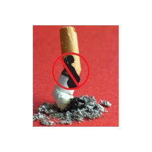 Le tabac pendant la grossesse 