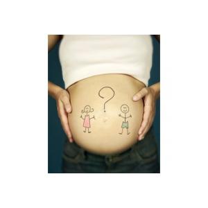 Formation du sexe externe de bébé