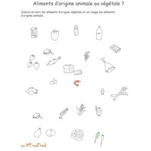 Activitésur les aliments d'origine animale ou végétale
