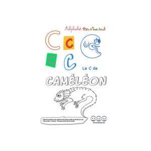Différence majuscule minuscule : fiches pour apprendre les lettres