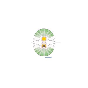 Ange vert en papier