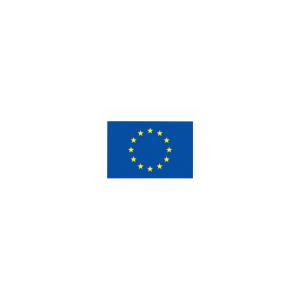 Drapeau de l'Union européenne- Europe