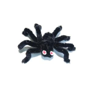 araignée velue