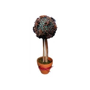 Arbre boule aux épices