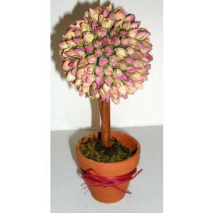 Arbre aux boutons de roses