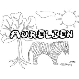 Aurélien