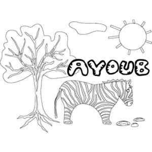 Ayoub